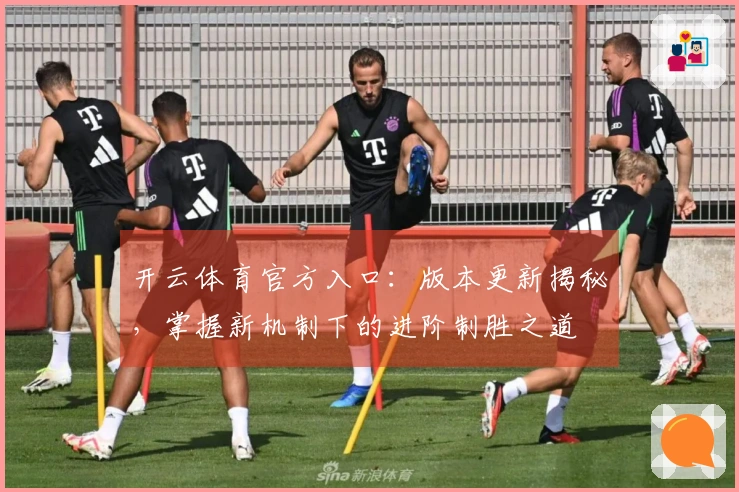 开云体育官方入口：版本更新揭秘，掌握新机制下的进阶制胜之道
